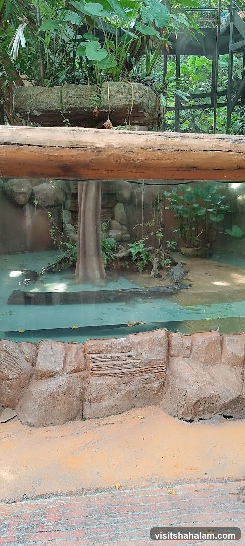 Reptile enclosure with water and land areas