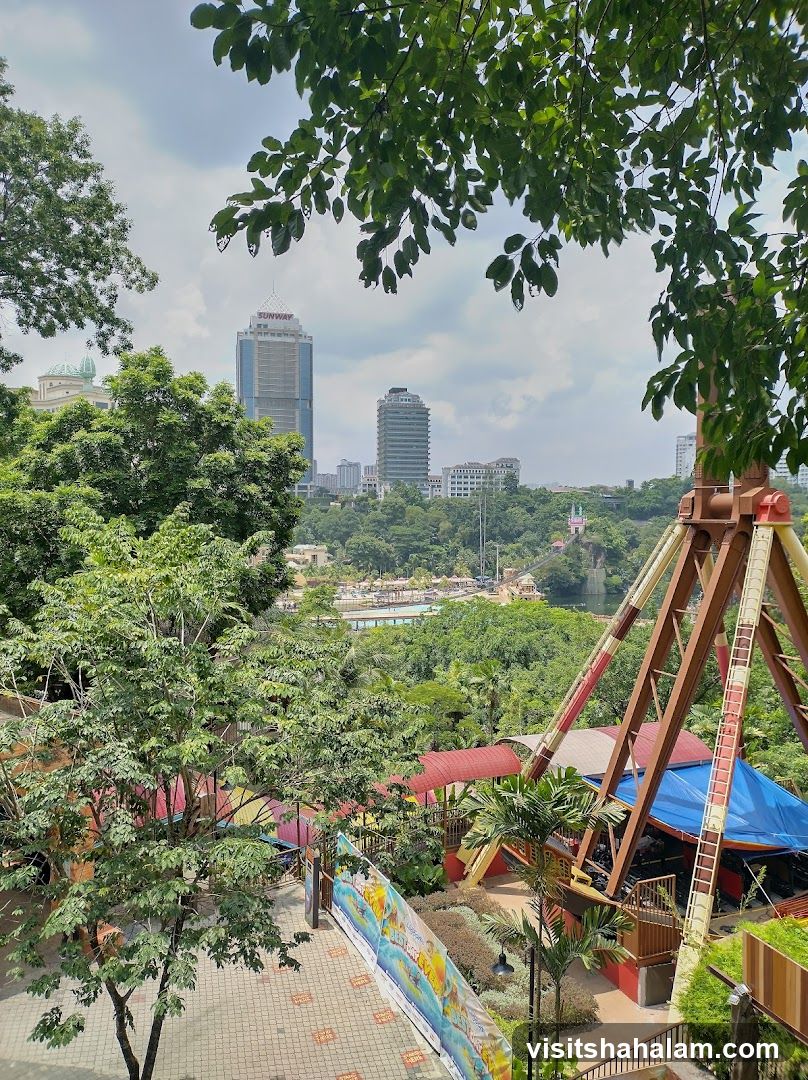Amusement Park View