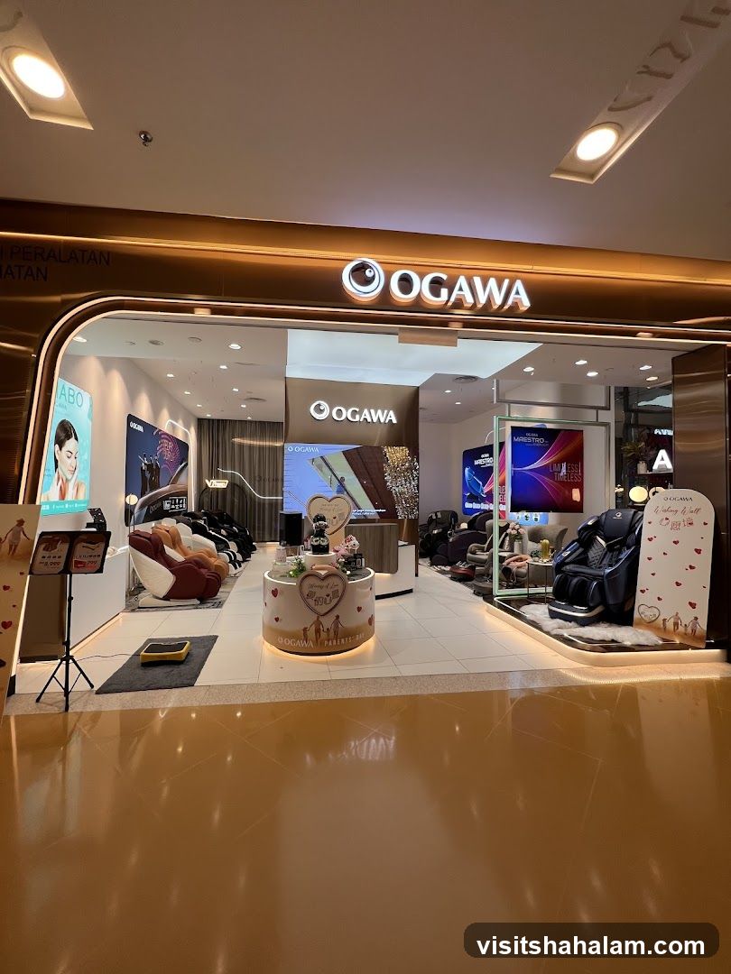 OGAWA