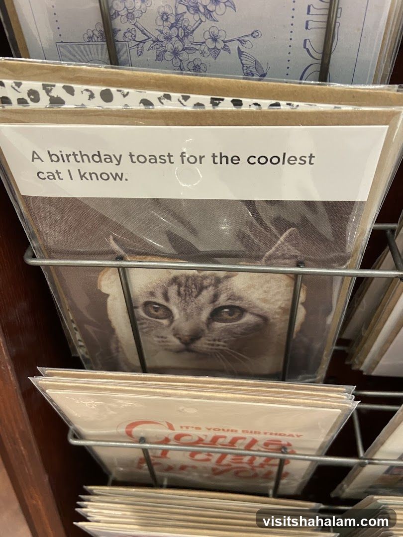 Typo