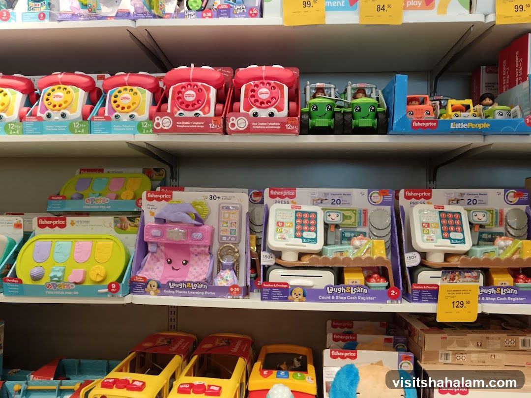 Toys on Shelves