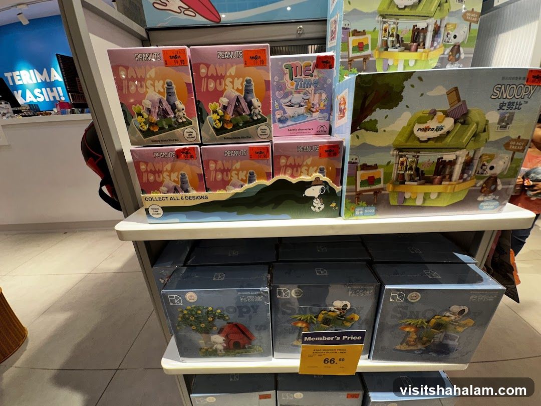 Peanuts and Snoopy Building Block Sets