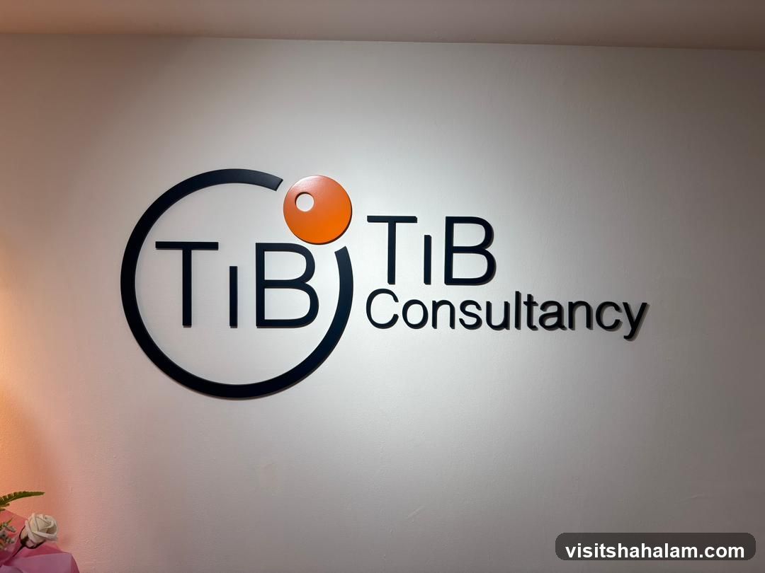 TiB CONSULTANCY