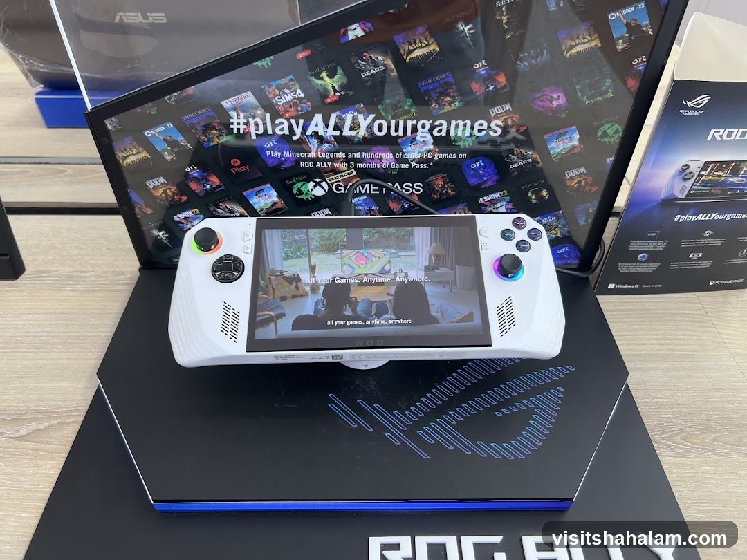 ROG Ally Gaming Device Display
