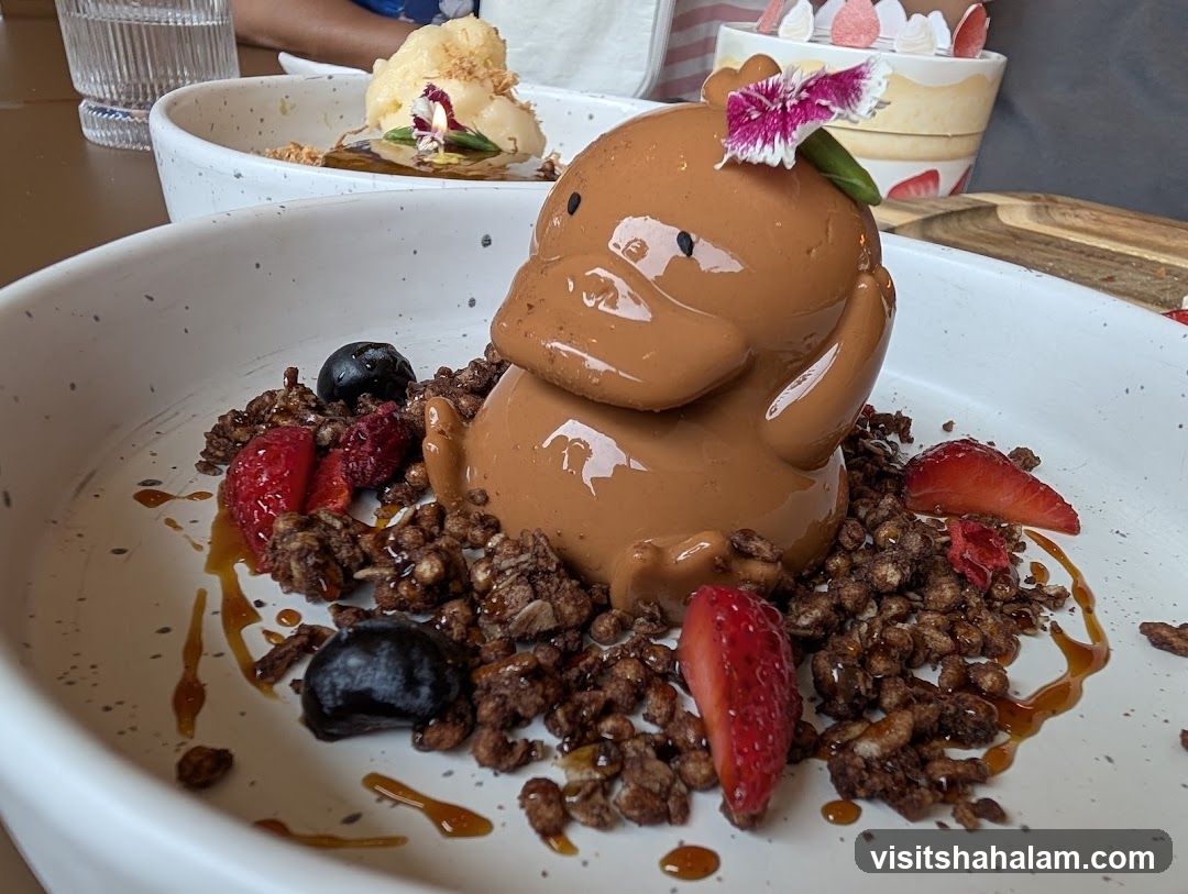 Chocolate Duck Dessert