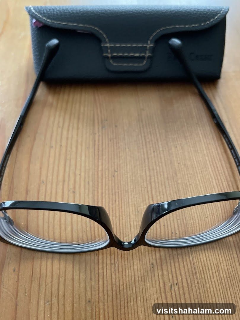 Eyeglasses and Case