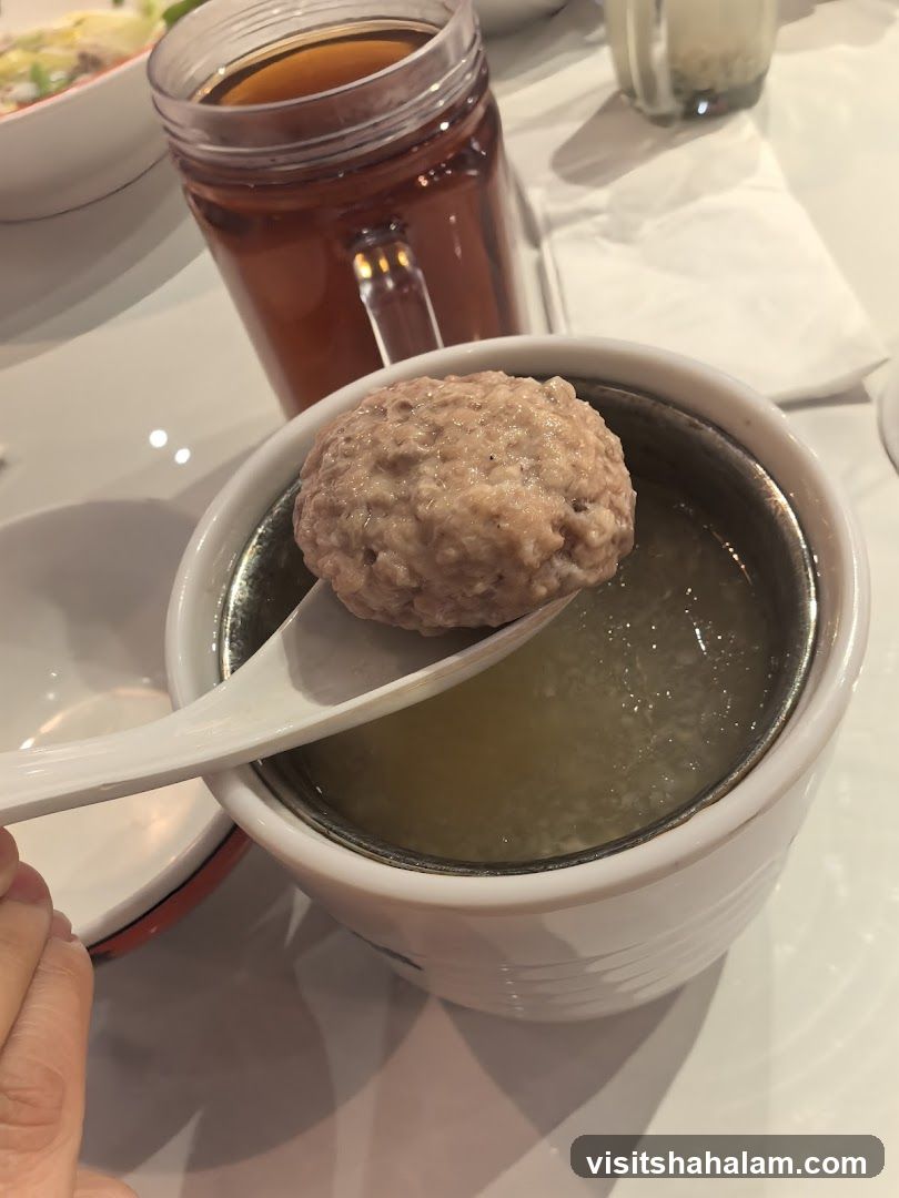 Meatball Soup