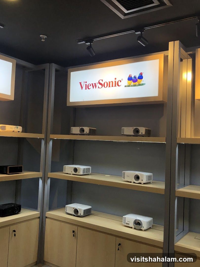 ViewSonic Projector Display