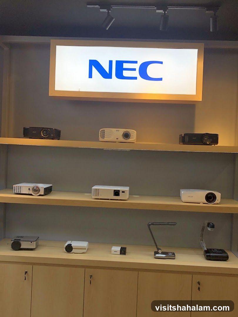 NEC Projectors Display