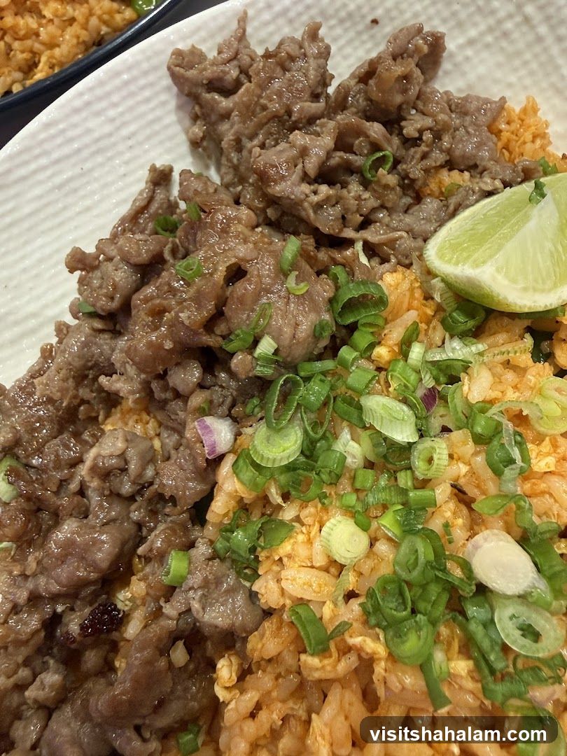 Beef and Fried Rice