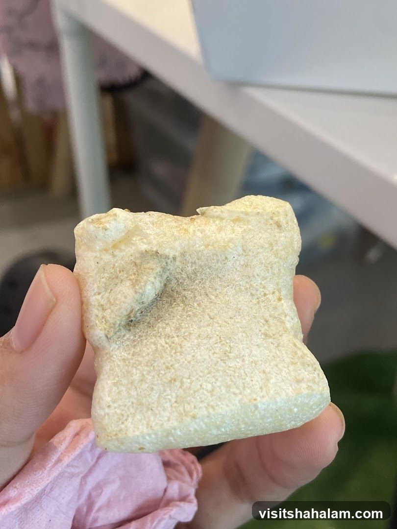Hand holding a piece of food