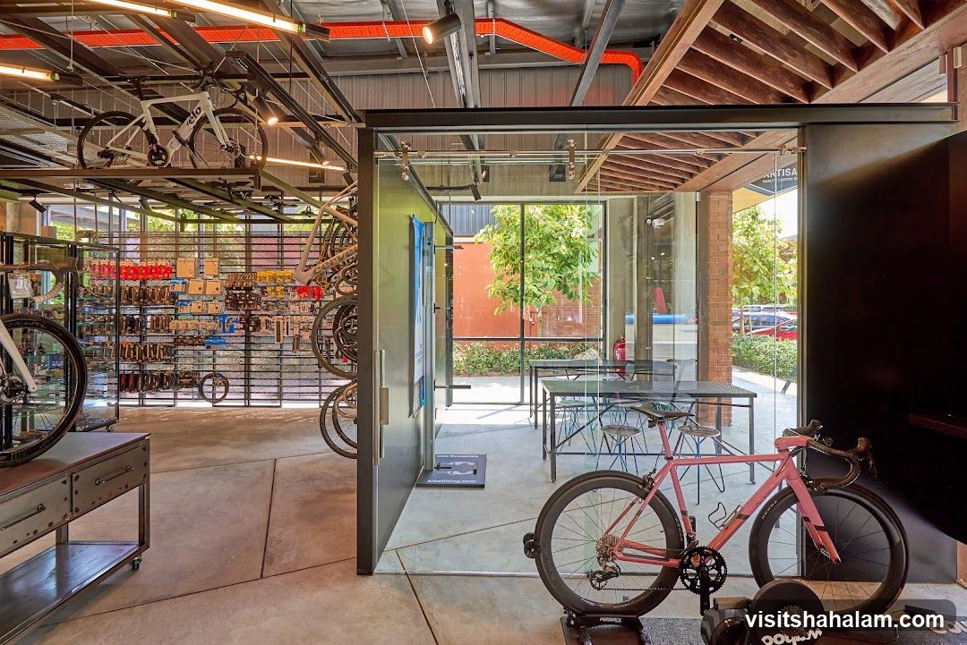 Modern Bicycle Shop Interior