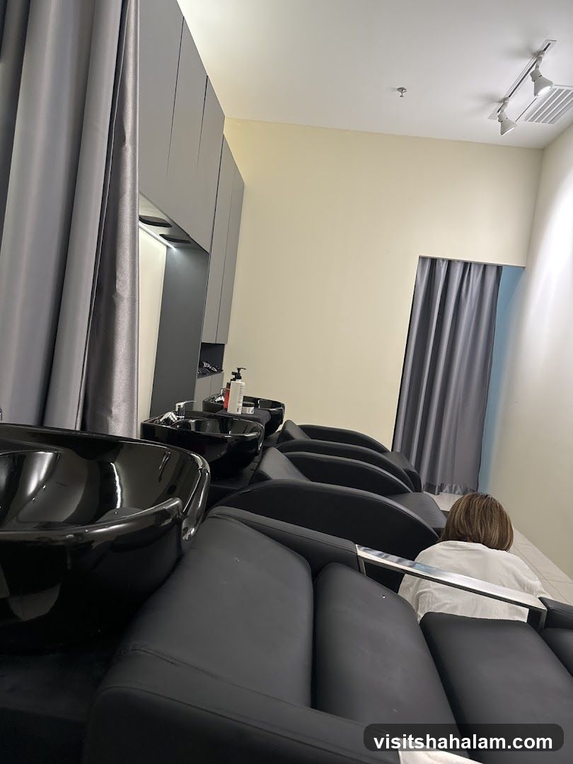 Hair Salon Wash Area