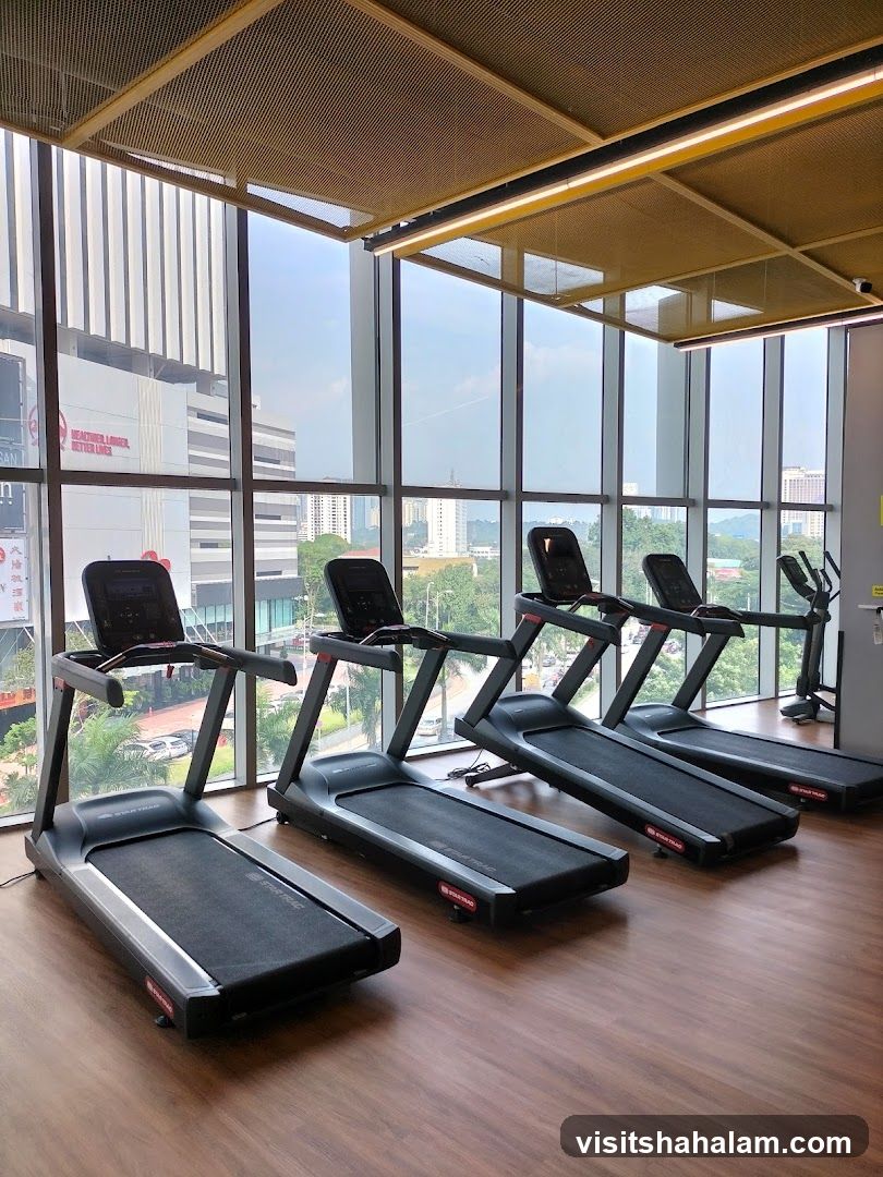 Gym Treadmills