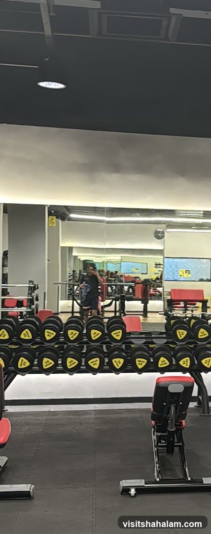 Gym Interior with Dumbbells