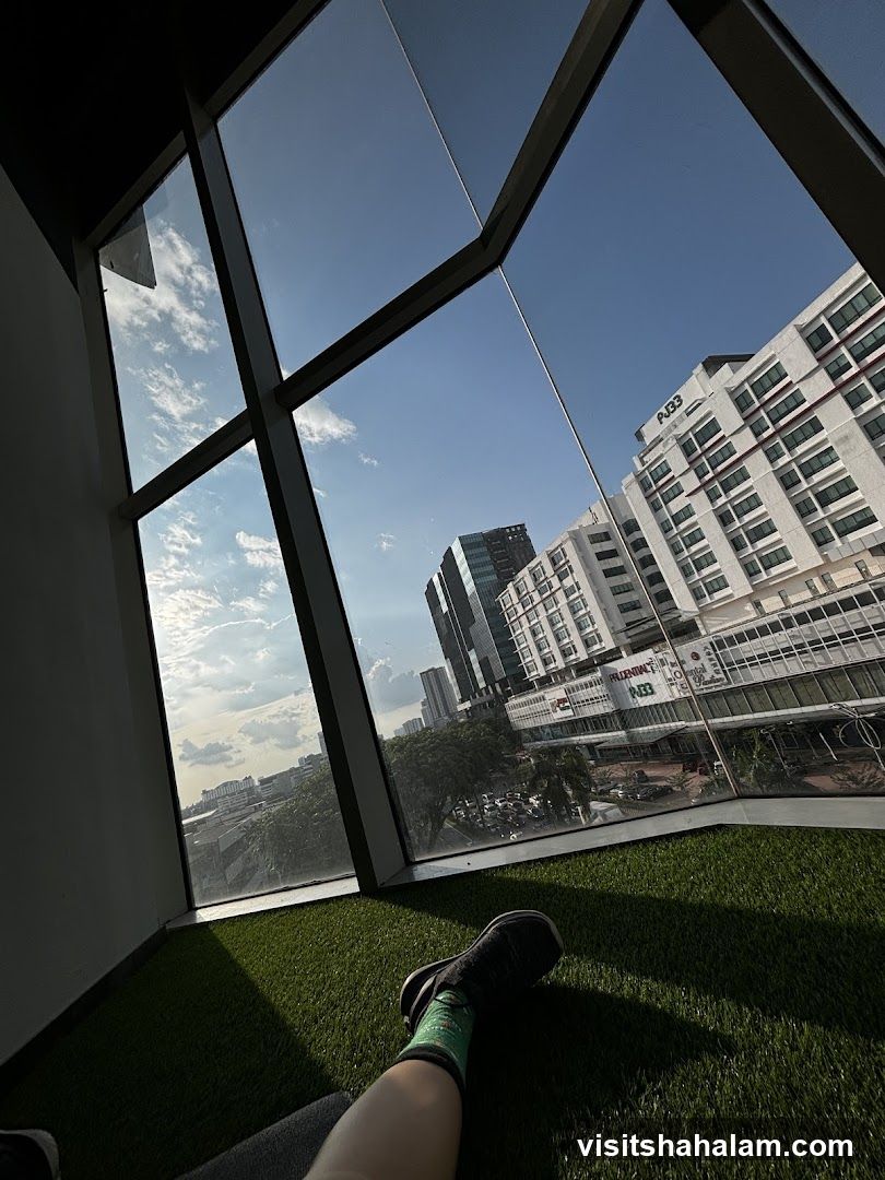 View from a window with artificial grass