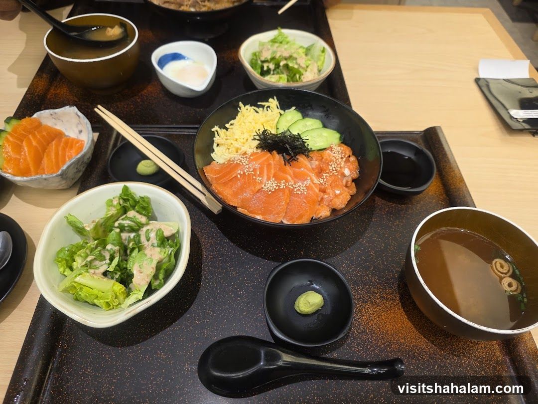 Salmon Donburi Set