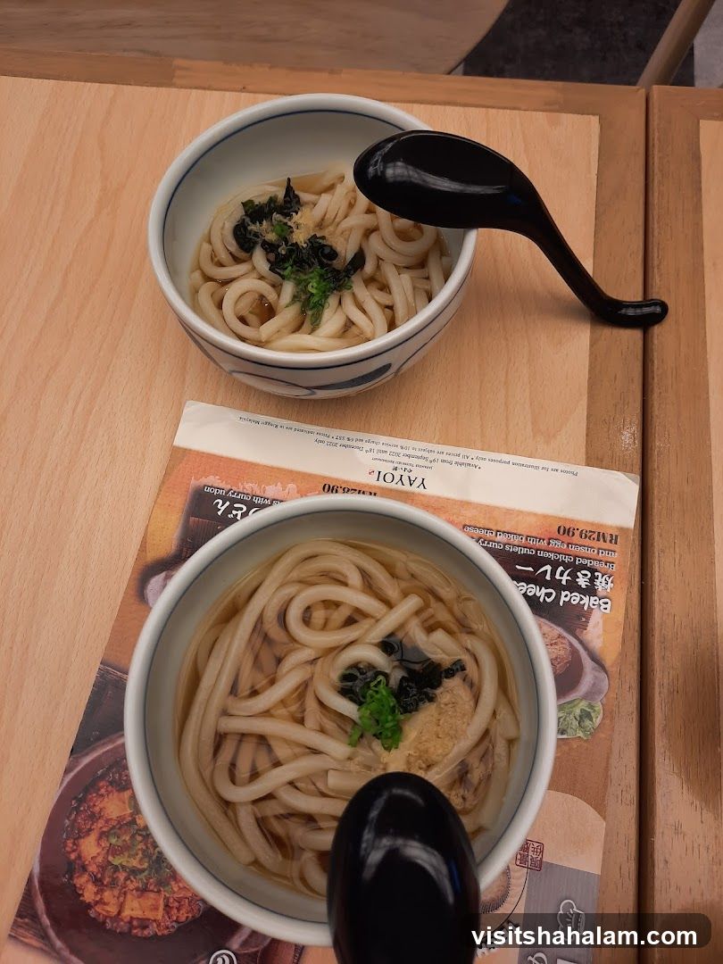 Udon Noodles