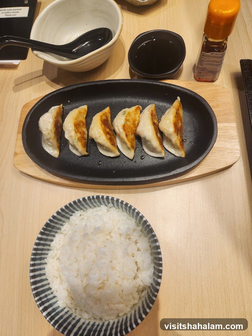 Gyoza and Rice