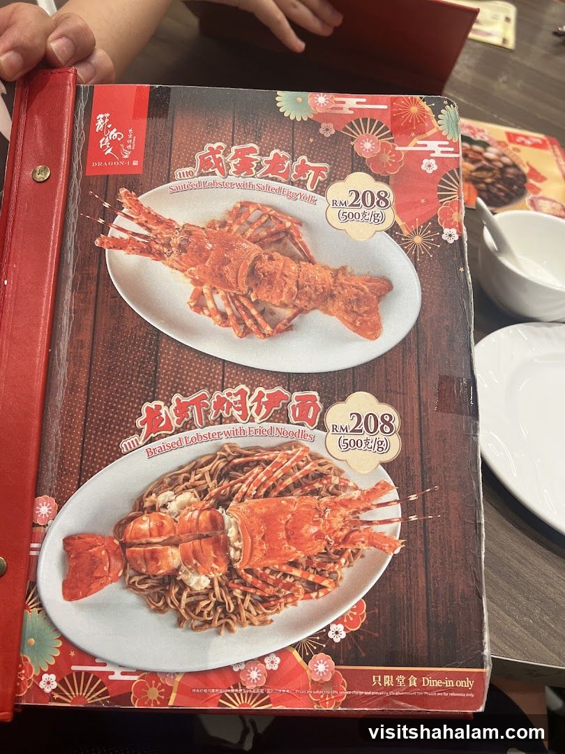 Dragon-I Menu