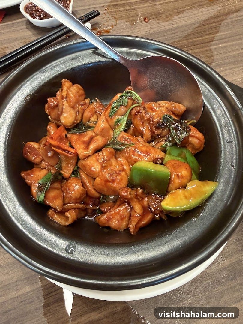 Chicken Stir-fry