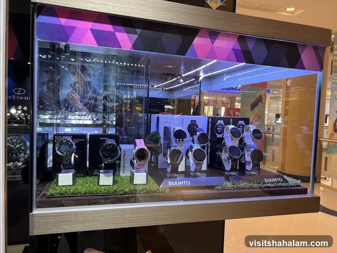 Watch Display Case