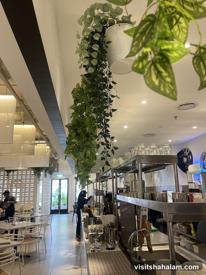 Cafe Interior with Hanging Plants