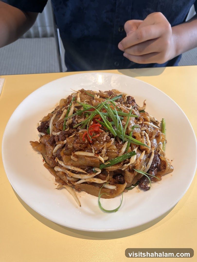 Beef Chow Fun