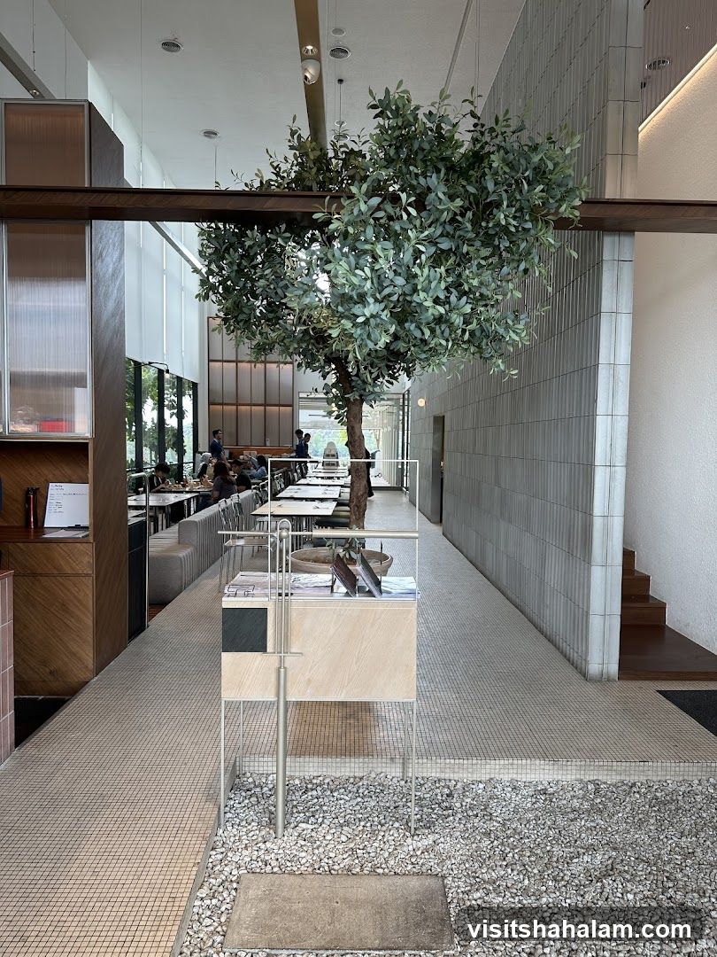 Modern Cafe Interior with Tree Feature