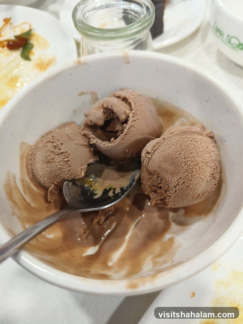 Chocolate Ice Cream Dessert