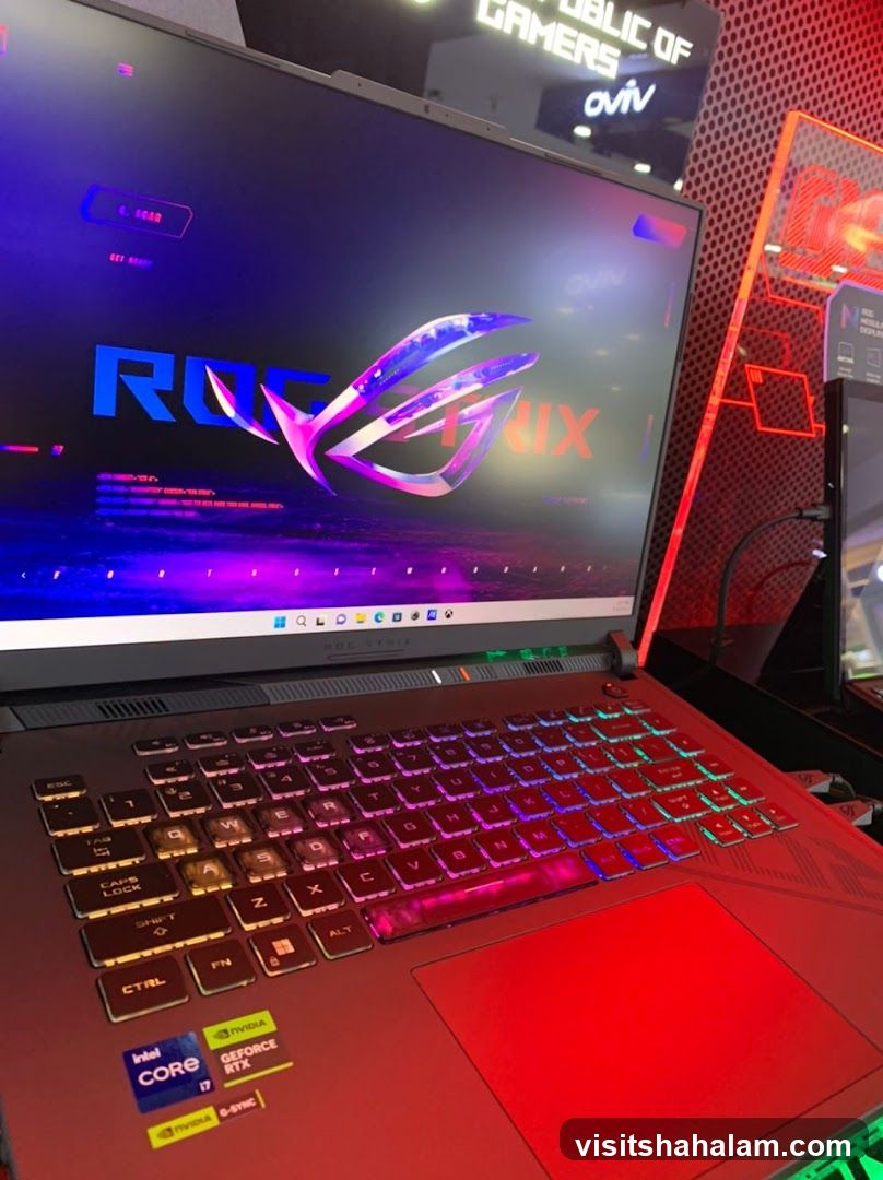 Gaming Laptop Display
