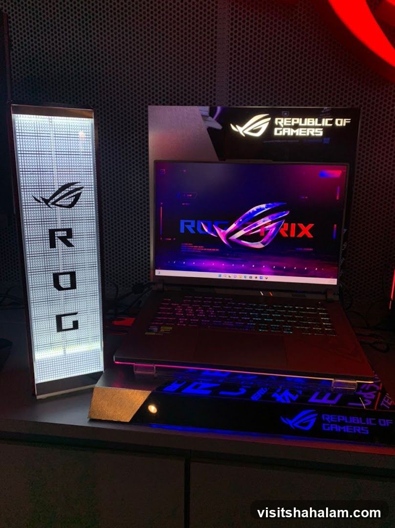 Republic of Gamers Laptop Display