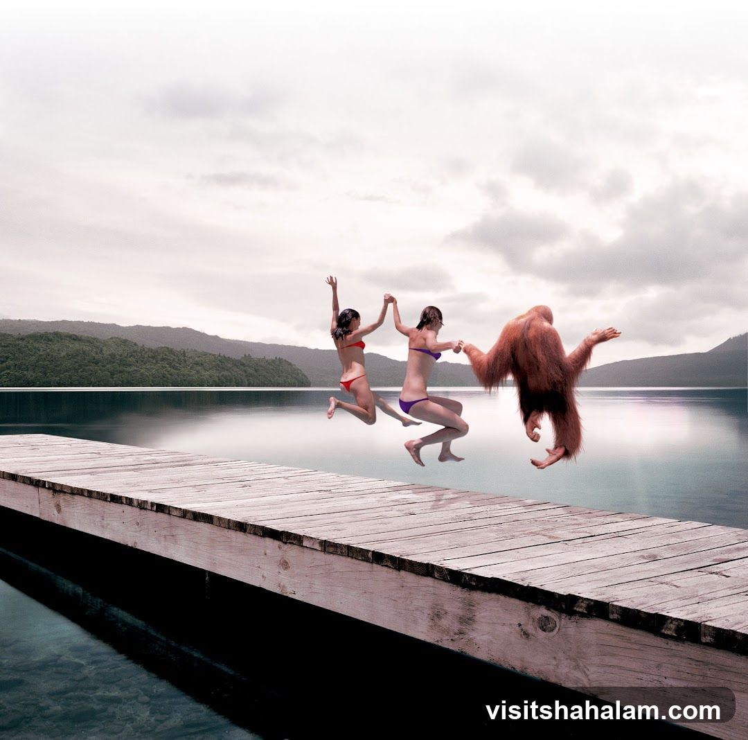 People and Orangutan Jumping into Lake