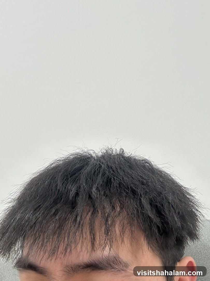 Messy Black Hair