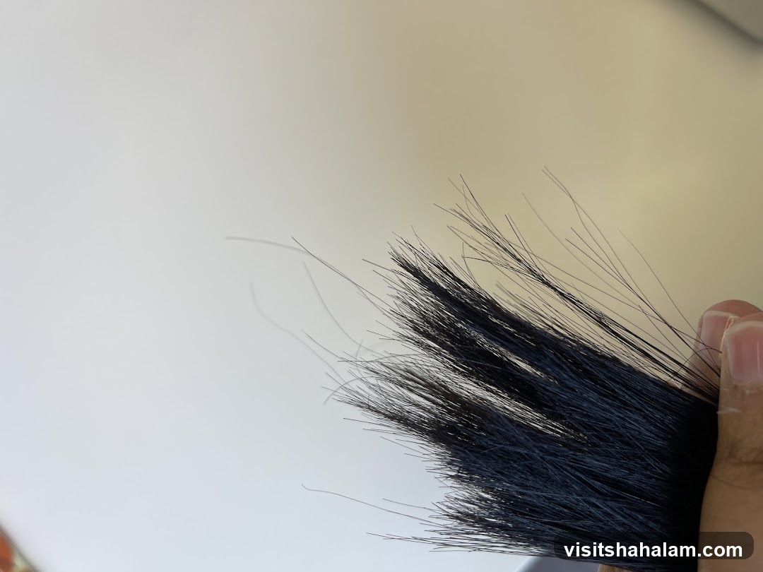 Close-up of Dark Hair Strands