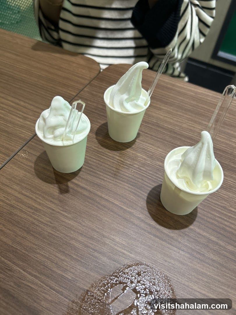 Soft Serve Ice Cream Cups