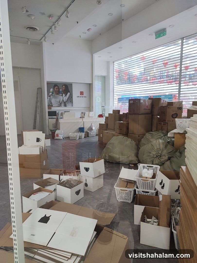 Store interior with boxes and shelving