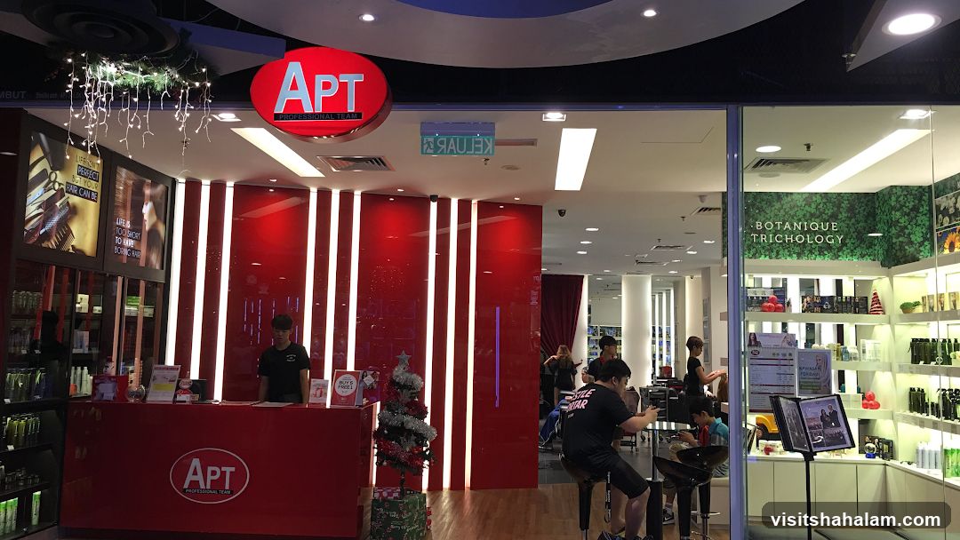 APT Professional Team