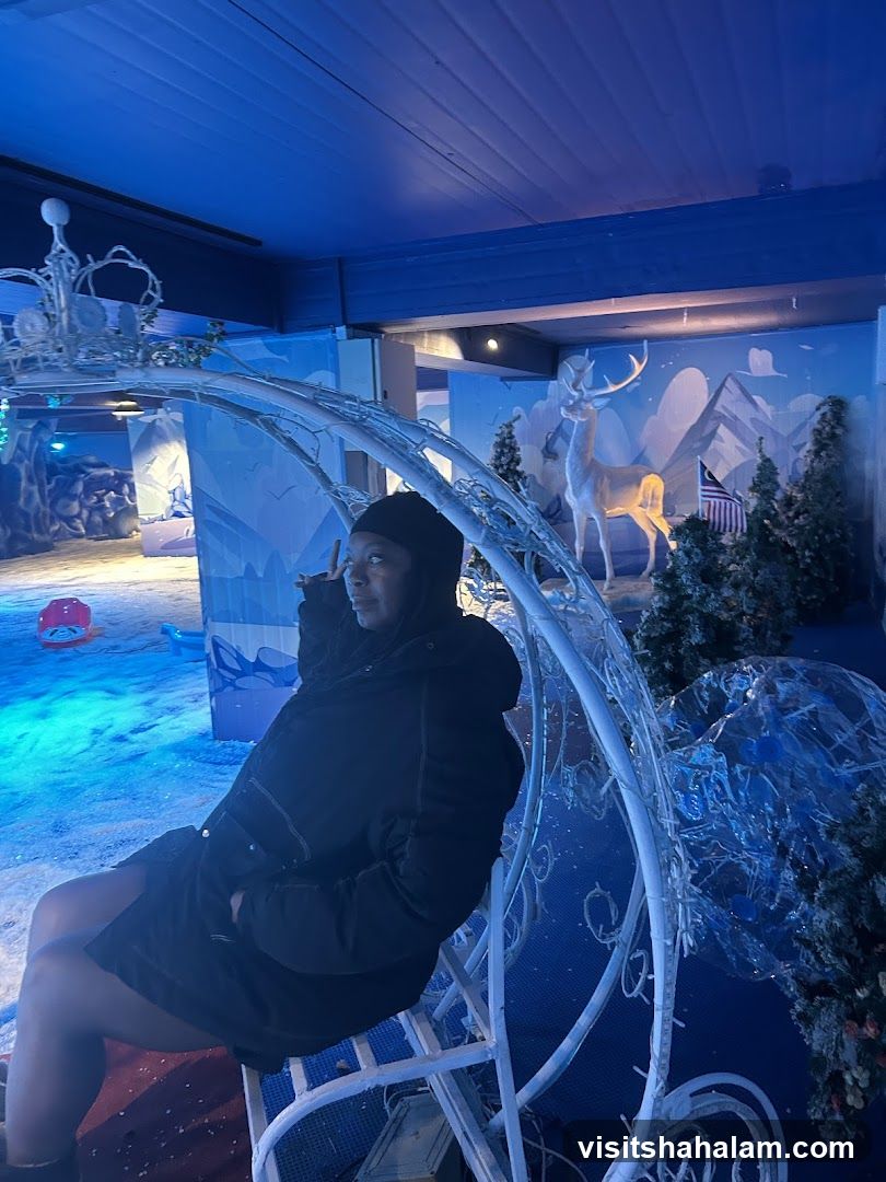 Winter Wonderland Scene