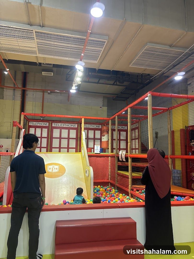 Indoor Playground with Ball Pit