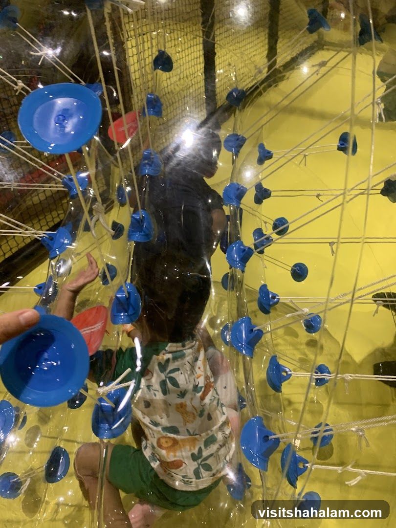 Children in a clear inflatable ball