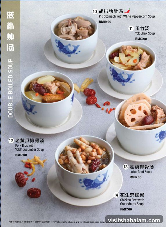 Double Boiled Soup
