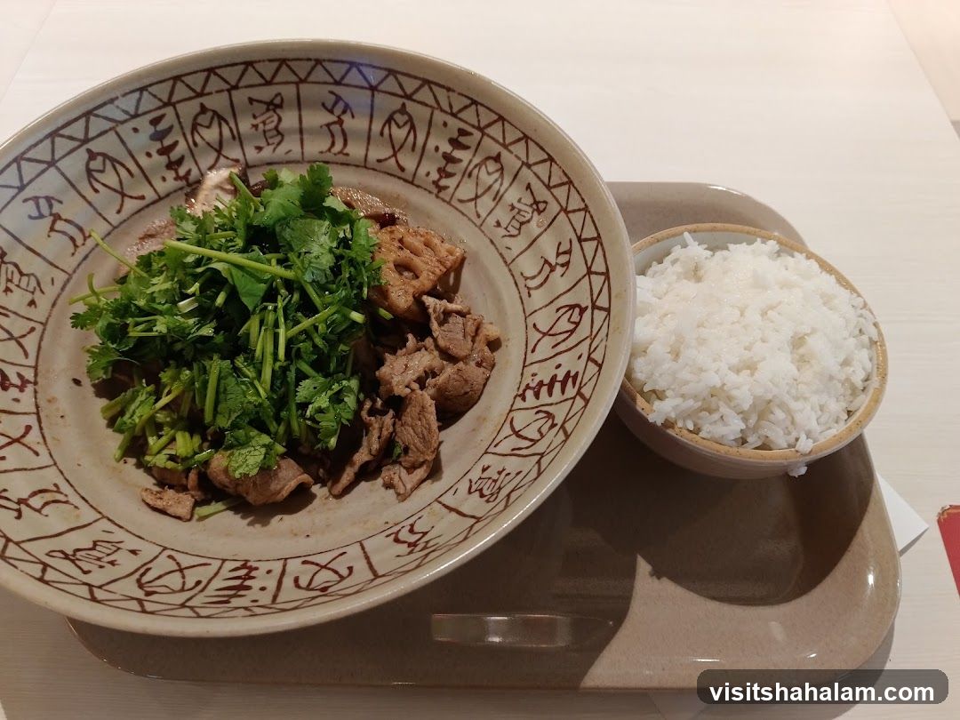 Beef and Cilantro Dish with Rice