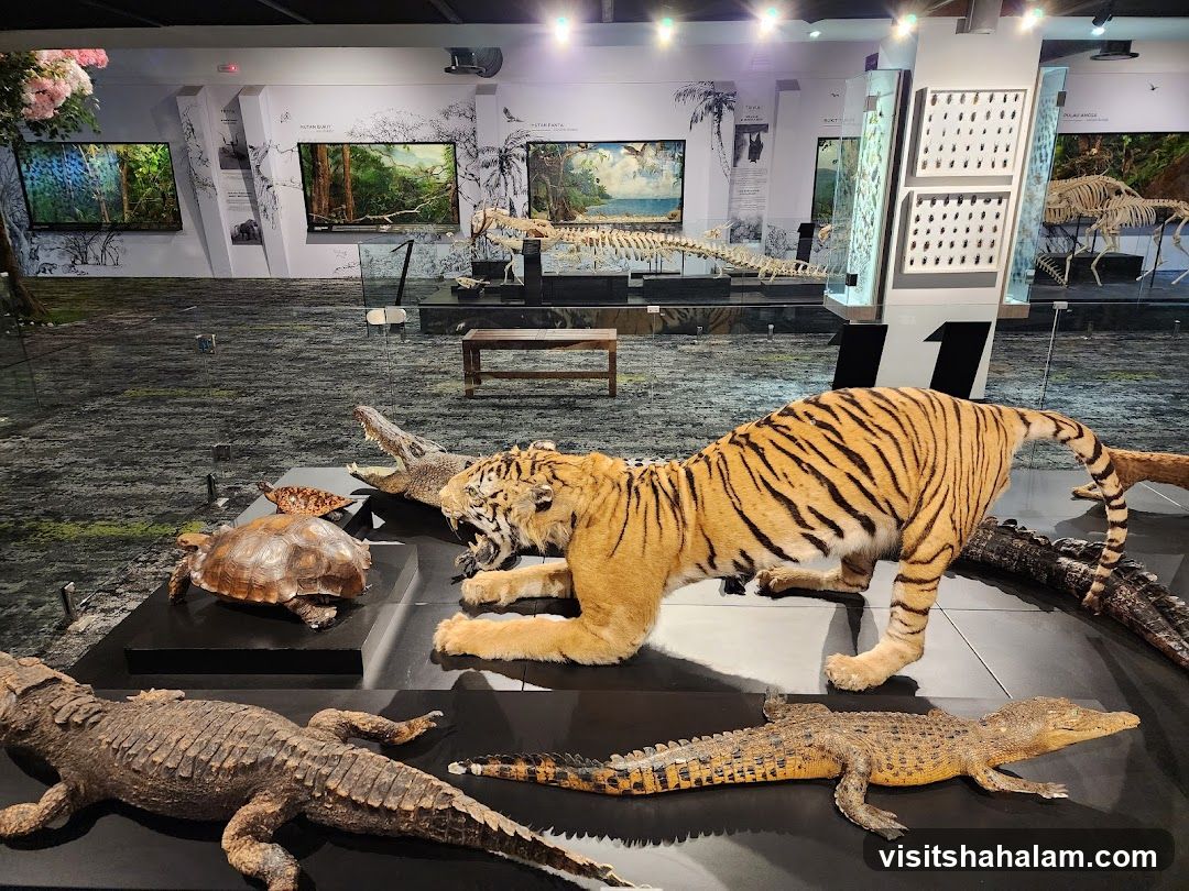 Museum Exhibit