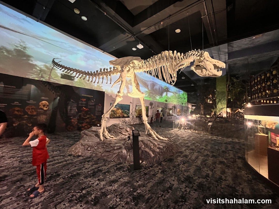 Dinosaur Skeleton Exhibit