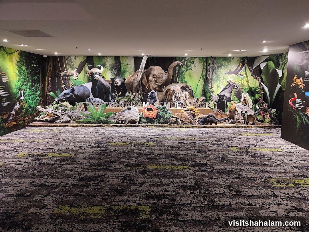 Wildlife Diorama