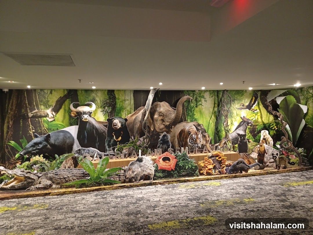 Wildlife Diorama