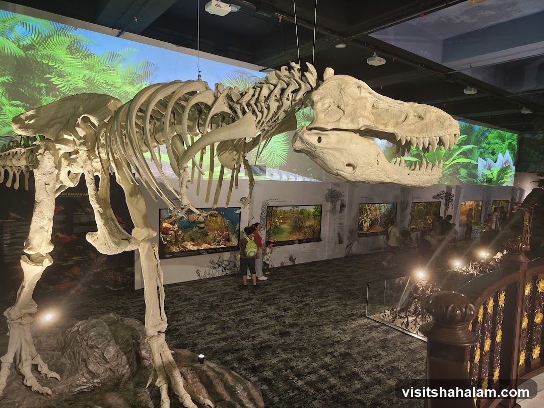 Dinosaur skeleton exhibit