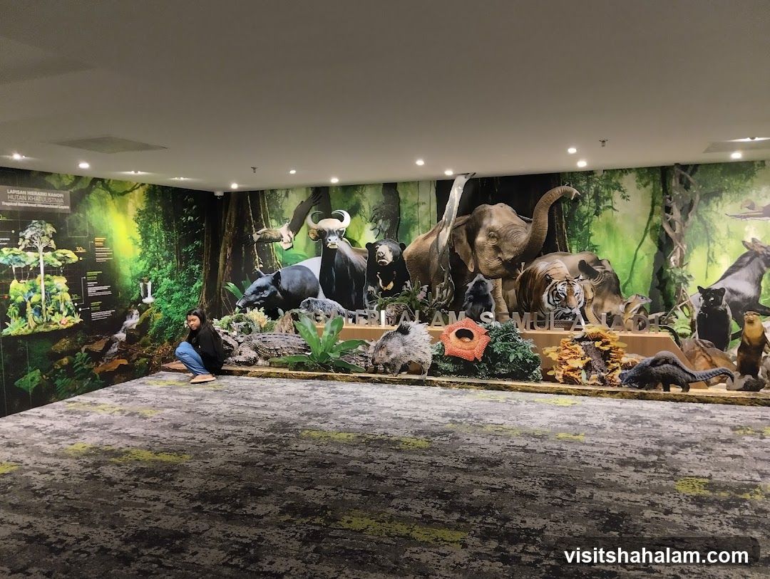 Wildlife Diorama