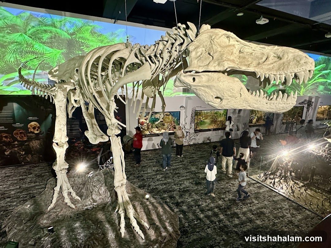 Dinosaur Skeleton Exhibit